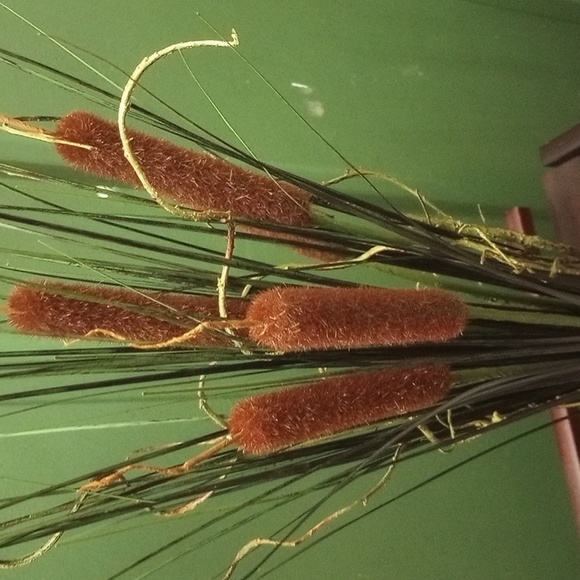 Cattail and sea shell arrangement - Picture 3 of 4